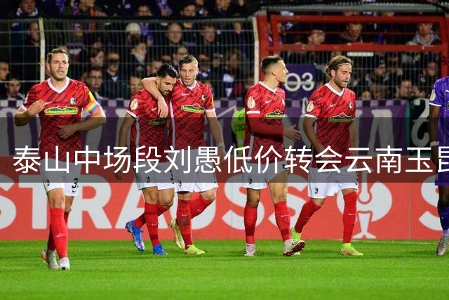 泰山中场段刘愚低价转会云南玉昆引关注