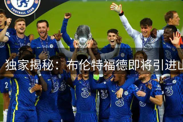 独家揭秘：布伦特福德即将引进山谷独立新星瓜瓜